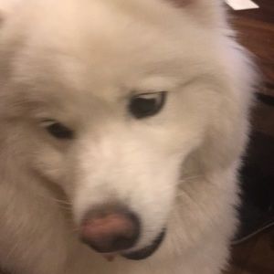 Meet your Posher, Lydia